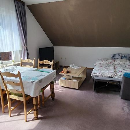Апартаменти Haus Rehblick 2, Wg 4 Санкт-Андреасберг Екстер'єр фото
